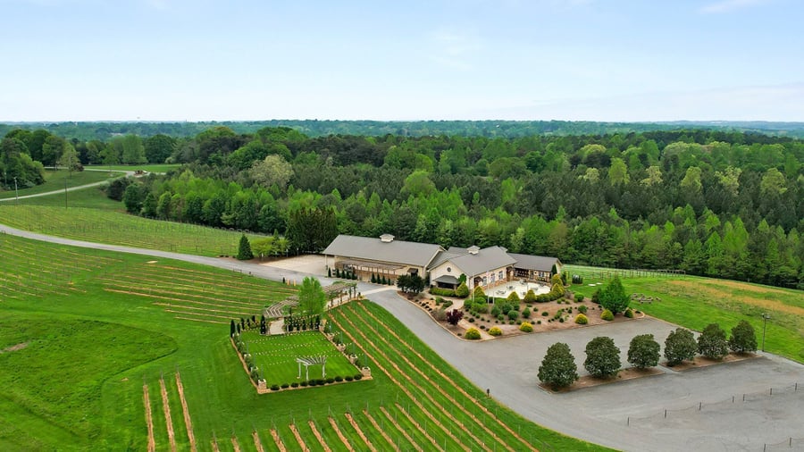 Aerial view of Spinning Leaf by Wedgewood Events